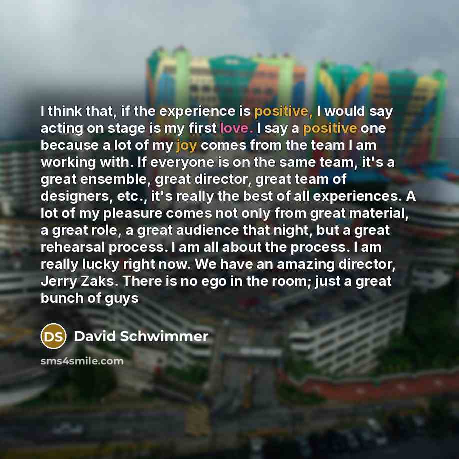 “I think that, if the experience is positive, I would say acting on stage is my first love. I say a positive one because a lot of my joy comes from the team I am working with. If everyone is on the same team, it's a great ensemble, great director, great team of designers, etc., it's really the best…” quote by David Schwimmer