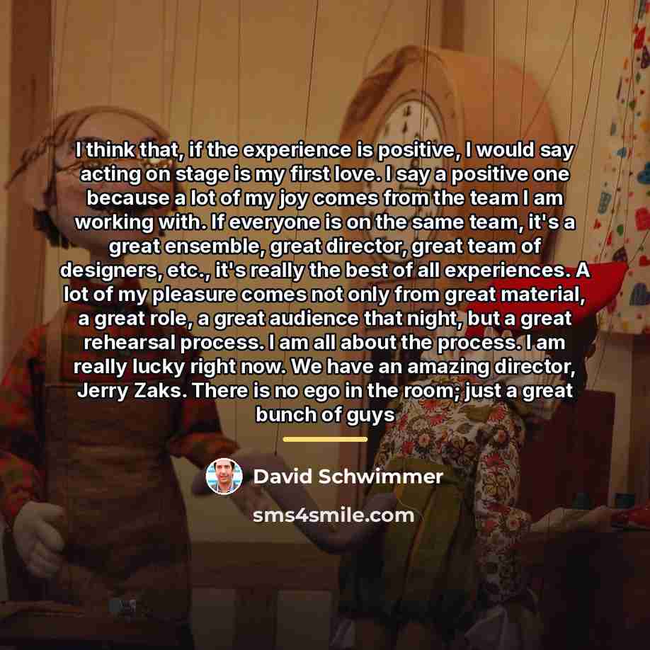 “I think that, if the experience is positive, I would…” quote by David Schwimmer