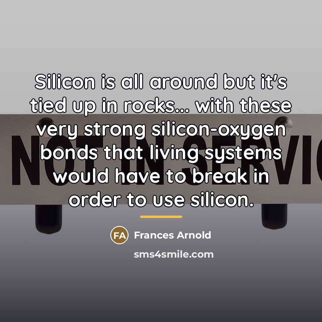 “Silicon is all around but it's tied up in rocks...…” quote by Frances Arnold