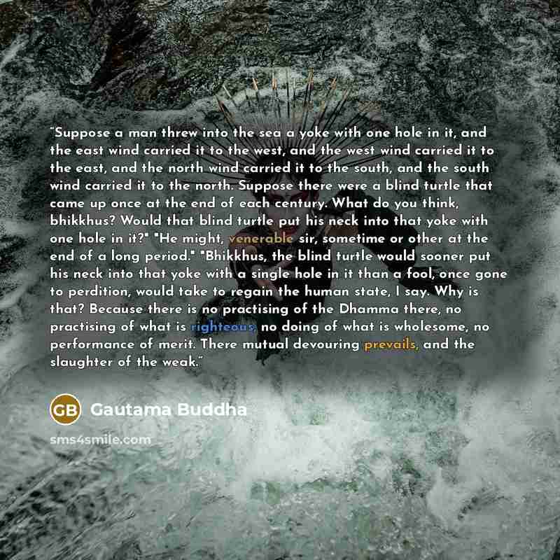 “Suppose a man threw into the sea a yoke with one hole in it, and the east wind carried it to the west, and the west wind carried it to the east, and the north wind carried it to the south, and the south wind carried it to the north. Suppose there were a blind turtle that came up once at the end of…” quote by Gautama Buddha