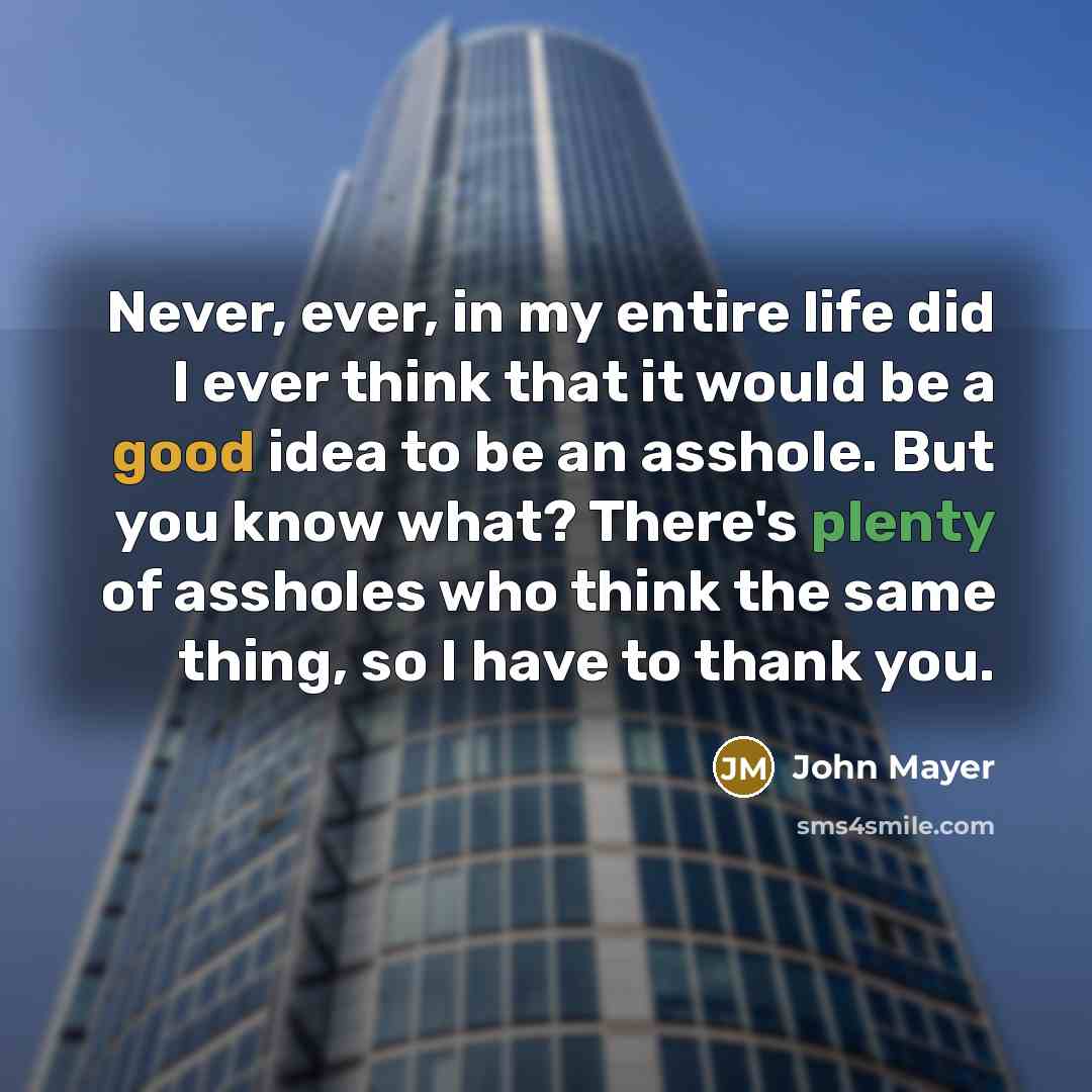 “Never, ever, in my entire life did I ever think that it would be a good idea to be an asshole. But you know what? There's plenty of assholes who think the same thing, so I have to thank you.” quote by John Mayer