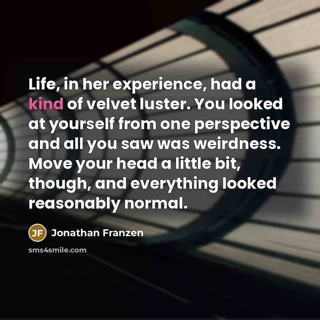 “Life, in her experience, had a kind of velvet luster.…” quote by Jonathan Franzen