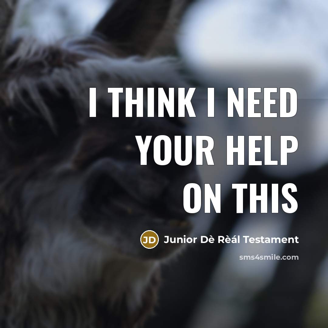 “I think I need your help on this…” quote by Junior Dè Rèál Testament