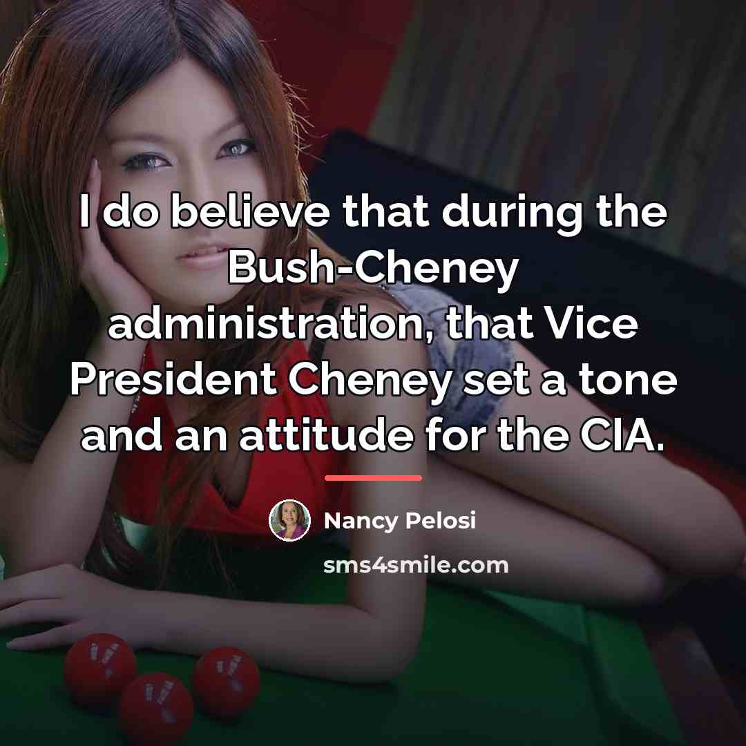 “I do believe that during the Bush-Cheney administration, that Vice…” quote by Nancy Pelosi