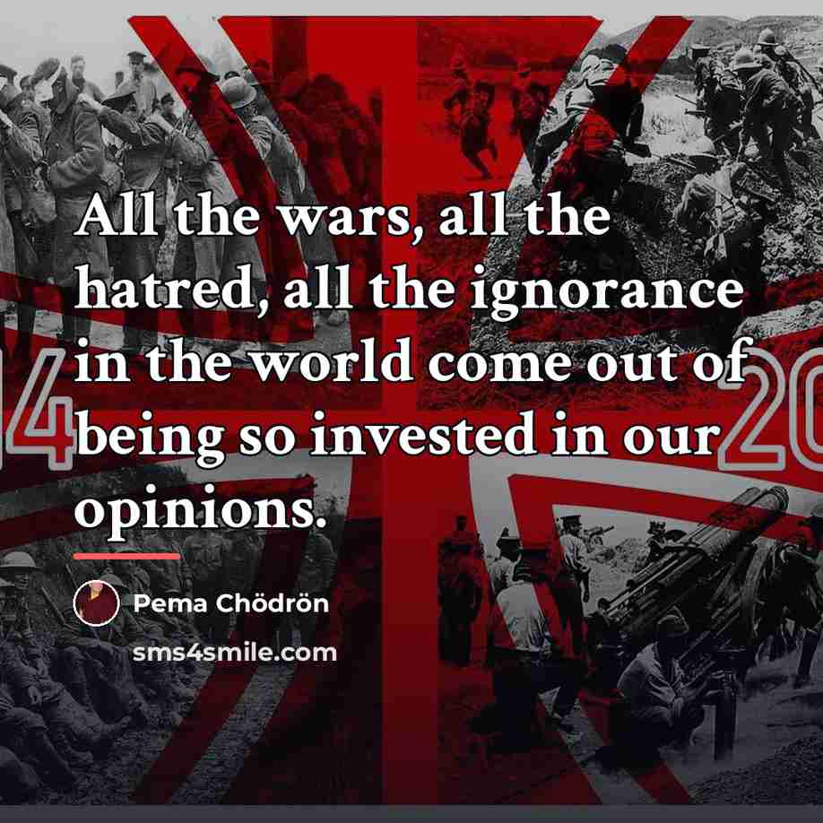 “All the wars, all the hatred, all the ignorance in…” quote by Pema Chodron