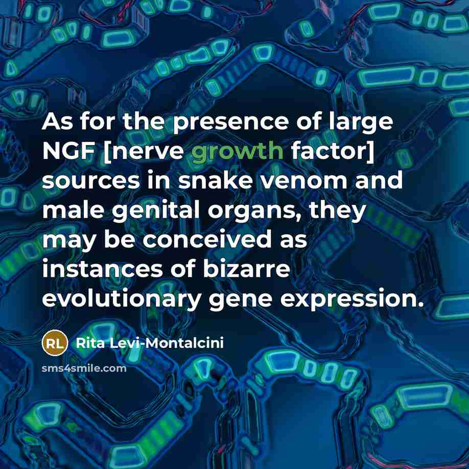 “As for the presence of large NGF [nerve growth factor]…” quote by Rita Levi-Montalcini