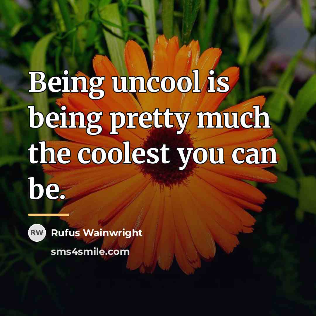 “Being uncool is being pretty much the coolest you can…” quote by Rufus Wainwright