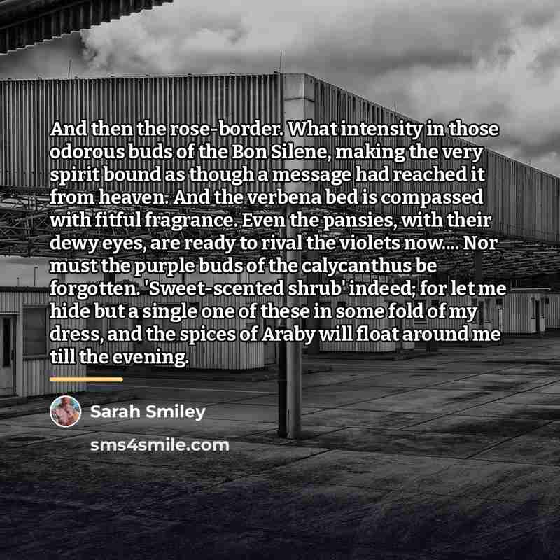 “And then the rose-border. What intensity in those odorous buds…” quote by Sarah Smiley
