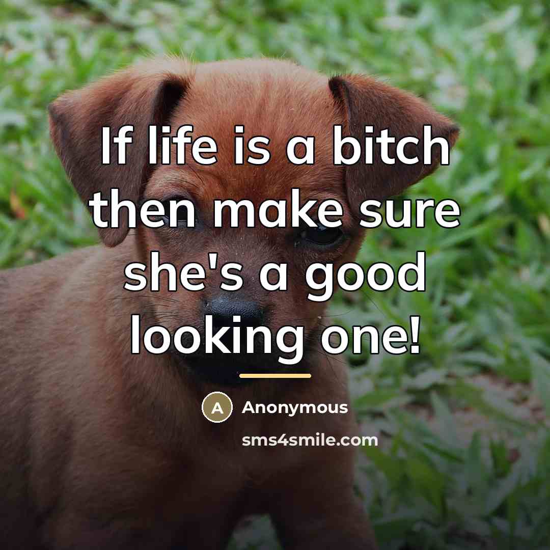 “If life is a bitch then make sure she's a…” quote by Anonymous