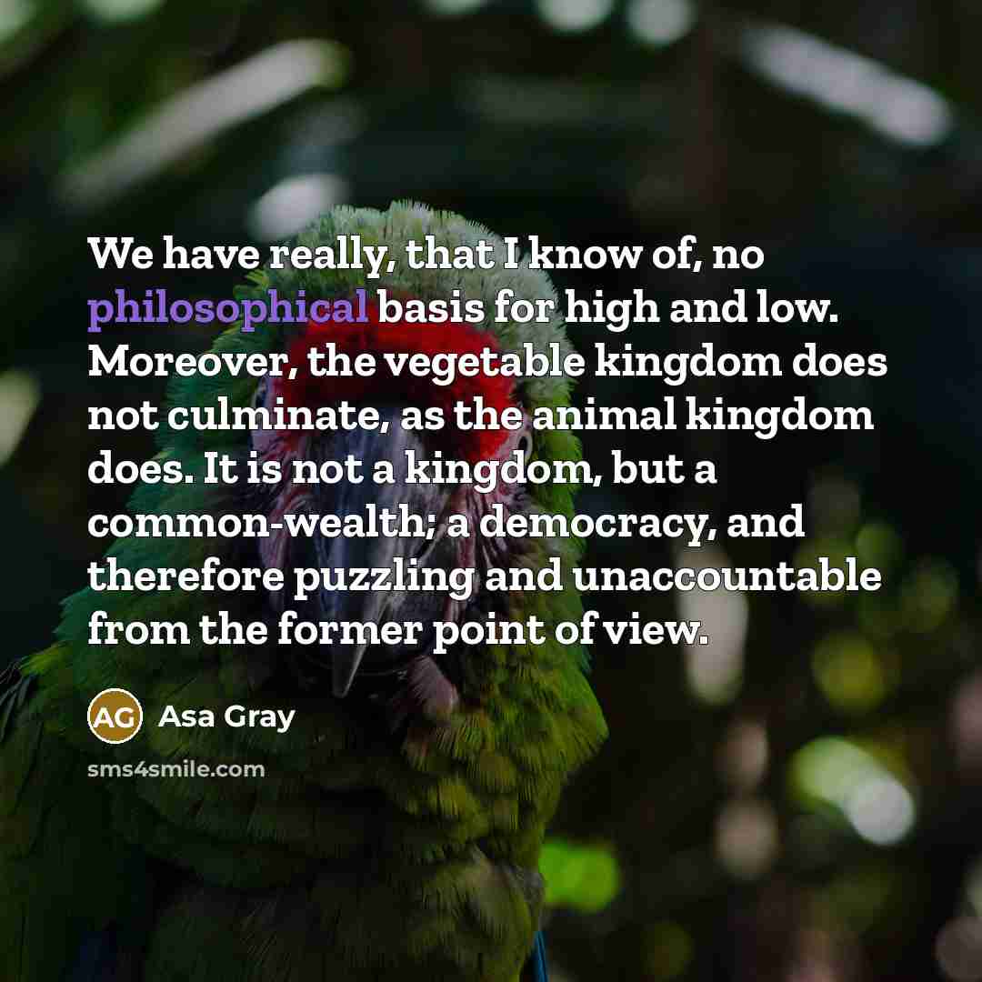 “We have really, that I know of, no philosophical basis…” quote by Asa Gray