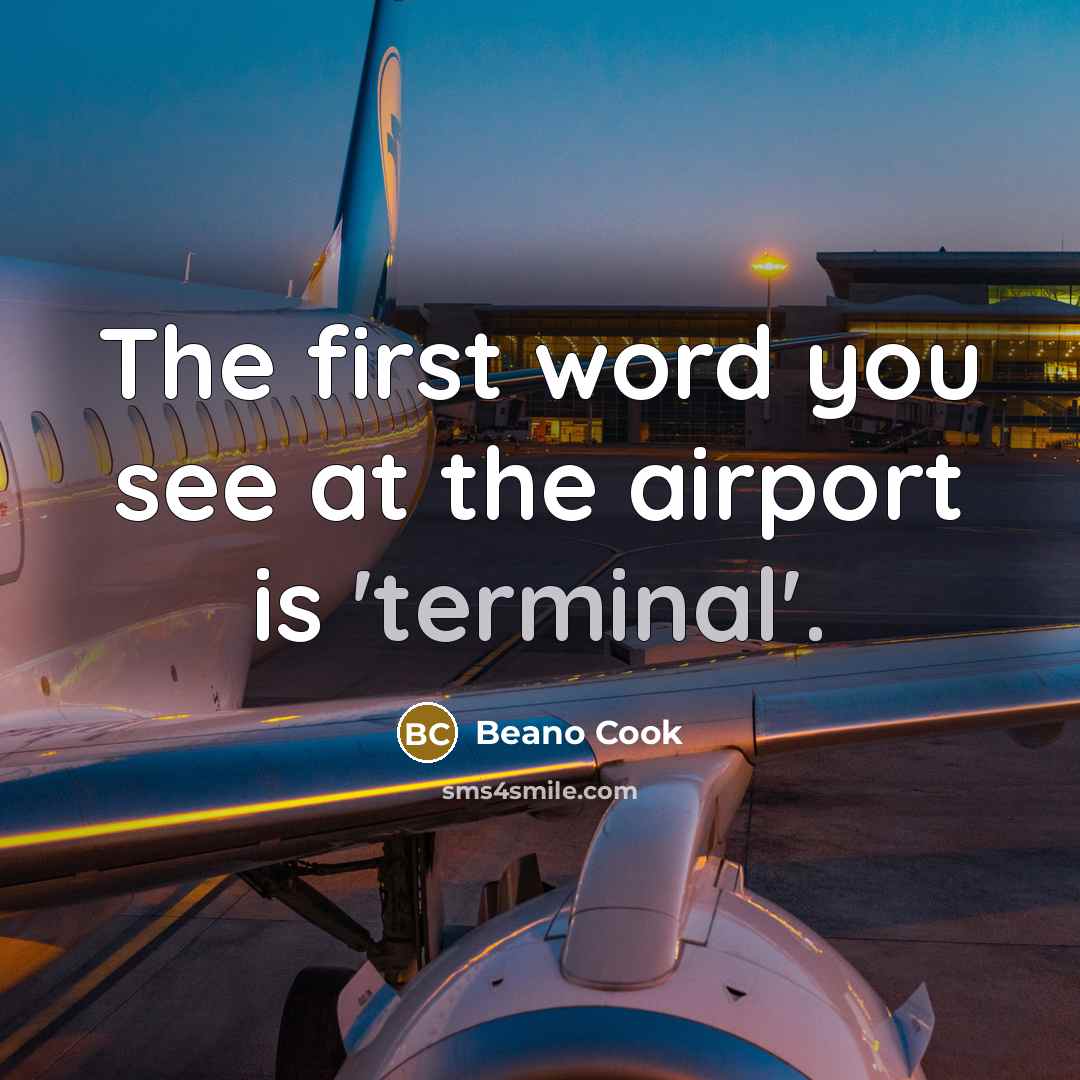 “The first word you see at the airport is 'terminal'.” quote by Beano Cook