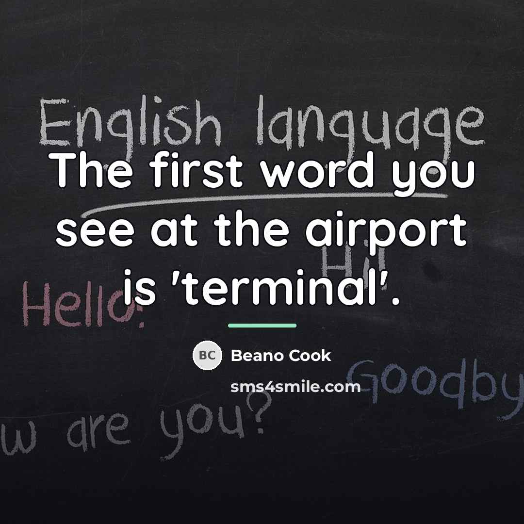 “The first word you see at the airport is 'terminal'.…” quote by Beano Cook