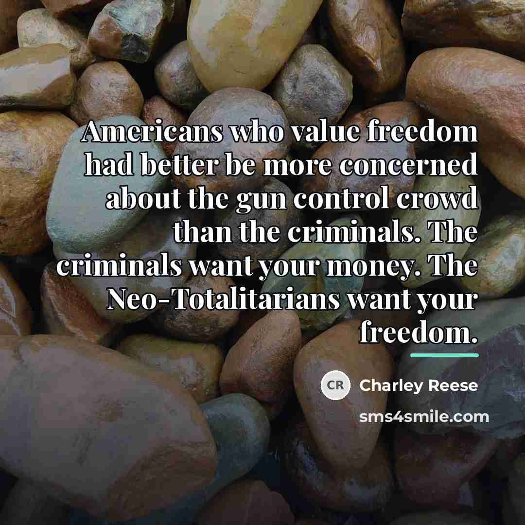 “Americans who value freedom had better be more concerned about…” quote by Charley Reese