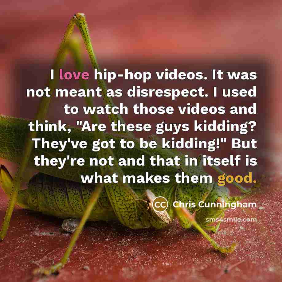 “I love hip-hop videos. It was not meant as disrespect.…” quote by Chris Cunningham