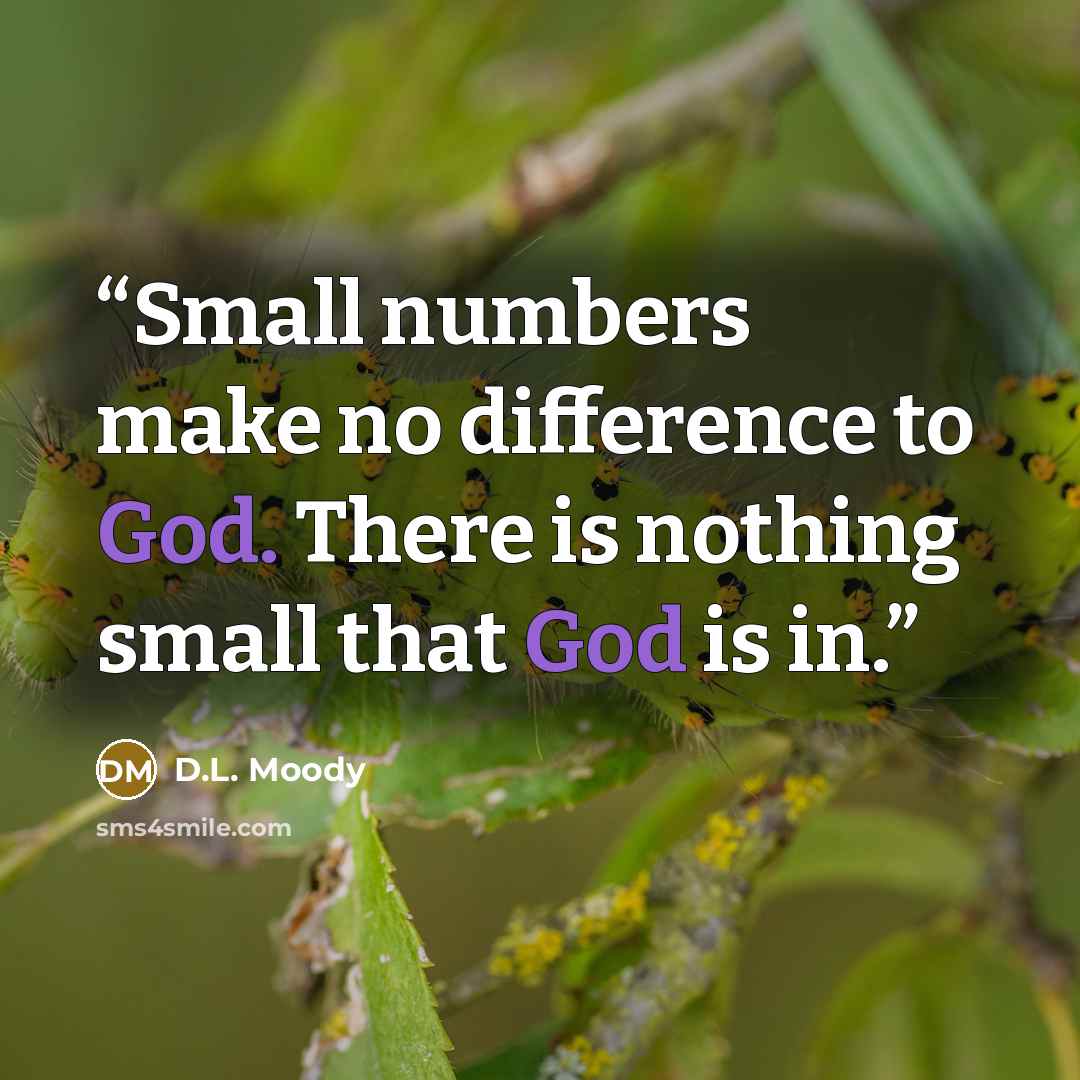 “Small numbers make no difference to God. There is nothing small that God is in.” quote by D.L. Moody