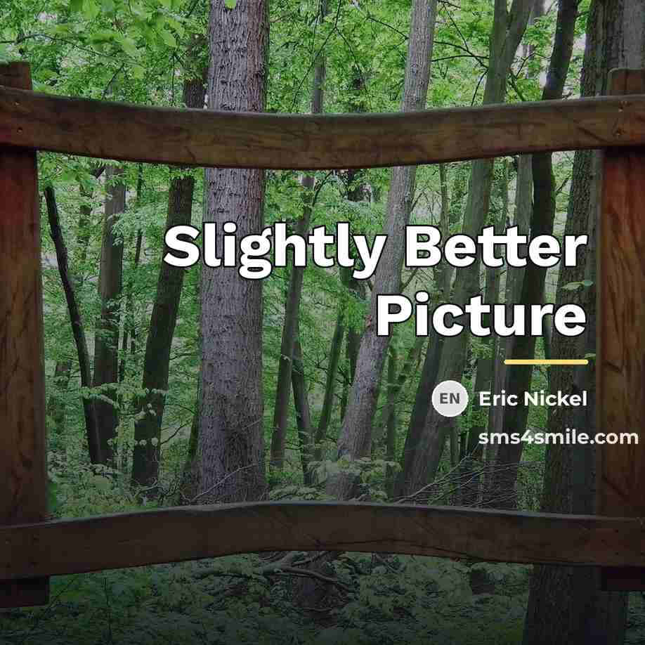 “Slightly Better Picture…” quote by Eric Nickel