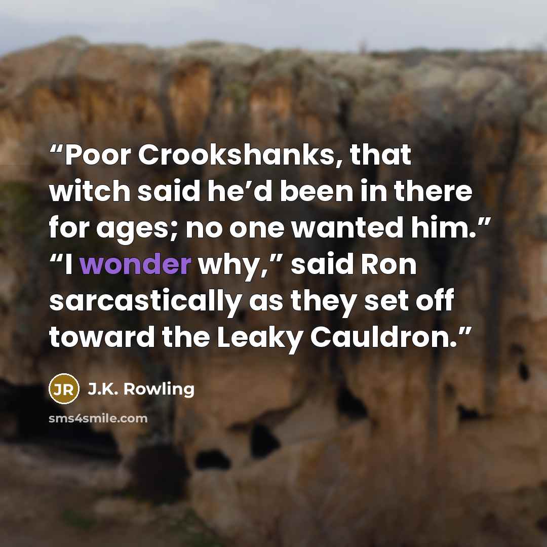 “Poor Crookshanks, that witch said he’d been in there for ages; no one wanted him.” “I wonder why,” said Ron sarcastically as they set off toward the Leaky Cauldron.” quote by J.K. Rowling