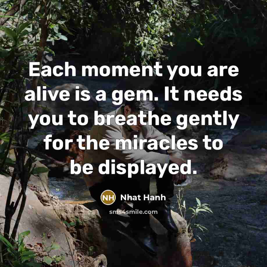 “Each moment you are alive is a gem. It needs…” quote by Nhat Hanh