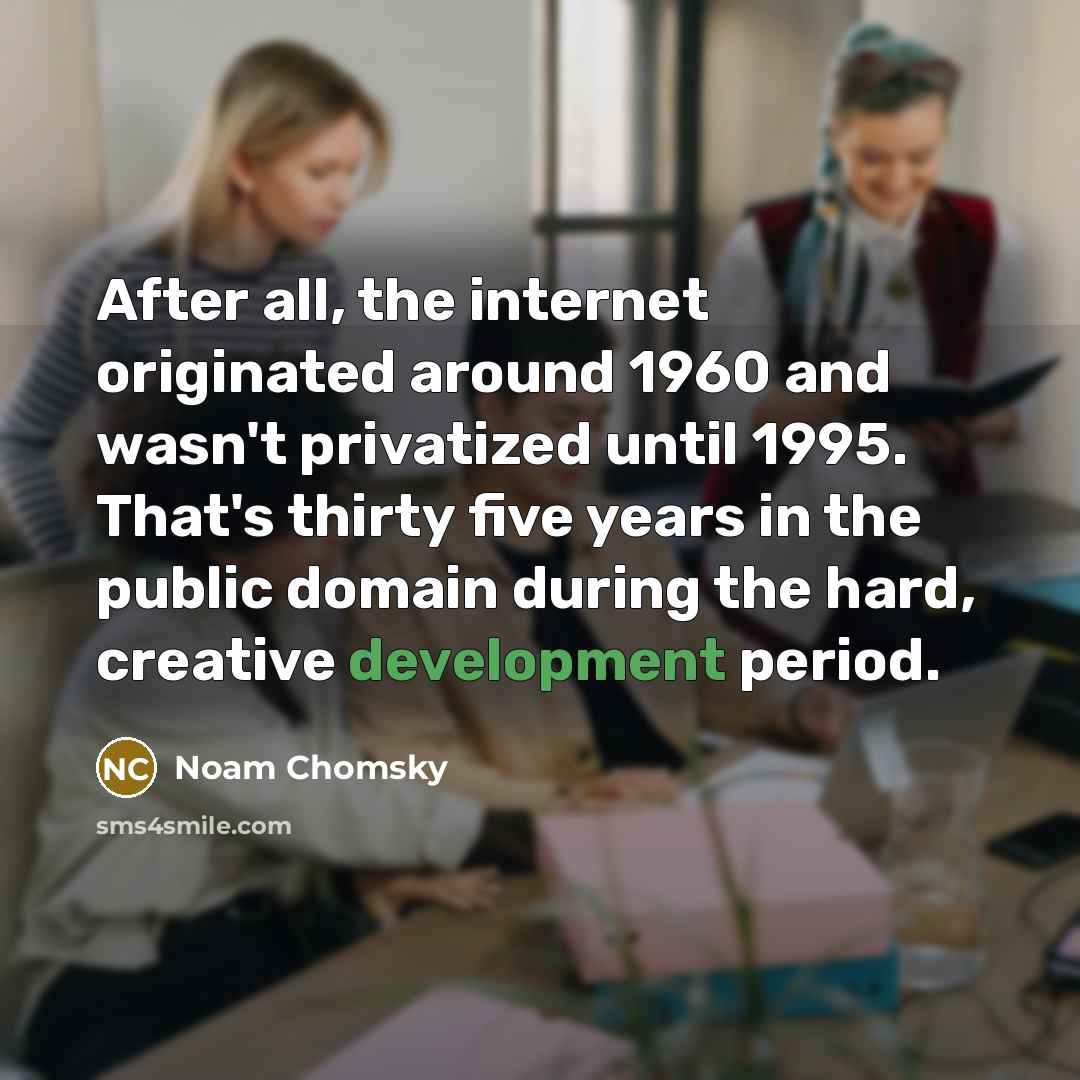 “After all, the internet originated around 1960 and wasn't privatized…” quote by Noam Chomsky