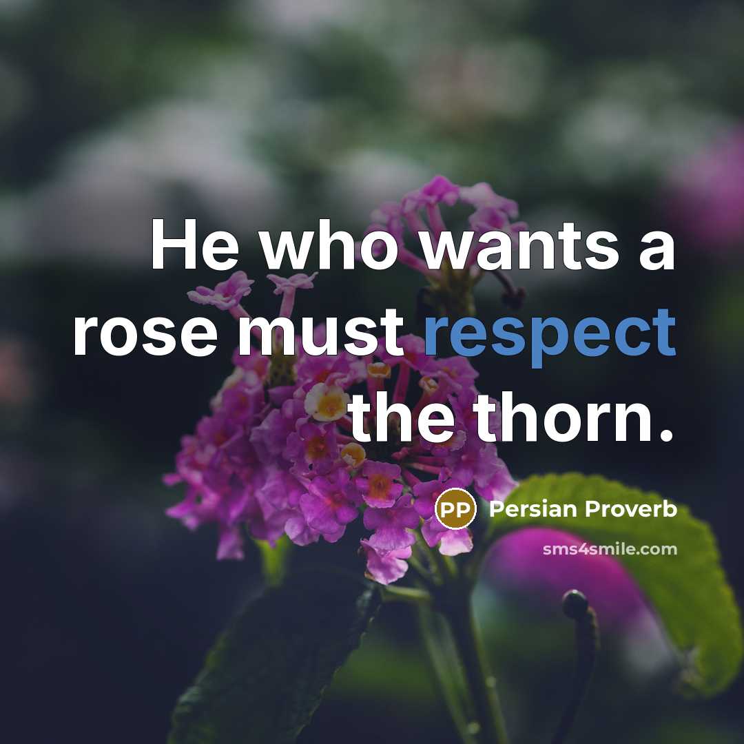 “He who wants a rose must respect the thorn.” quote by Persian Proverb
