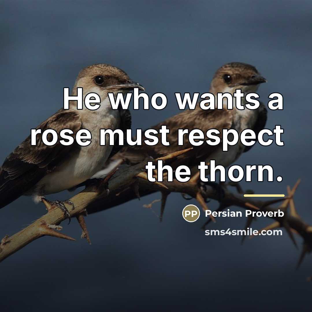 “He who wants a rose must respect the thorn.…” quote by Persian Proverb