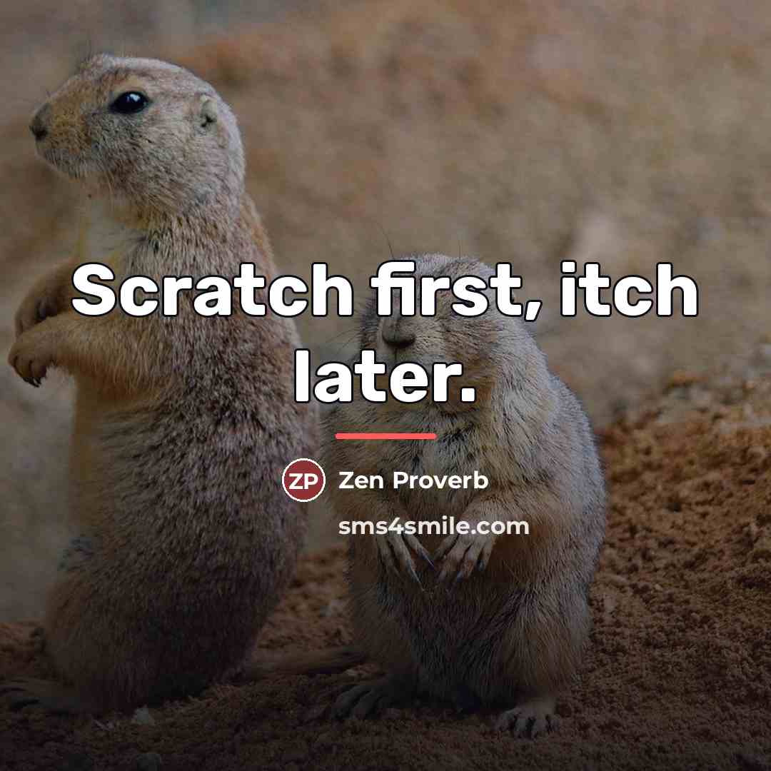 “Scratch first, itch later.…” quote by Zen Proverb