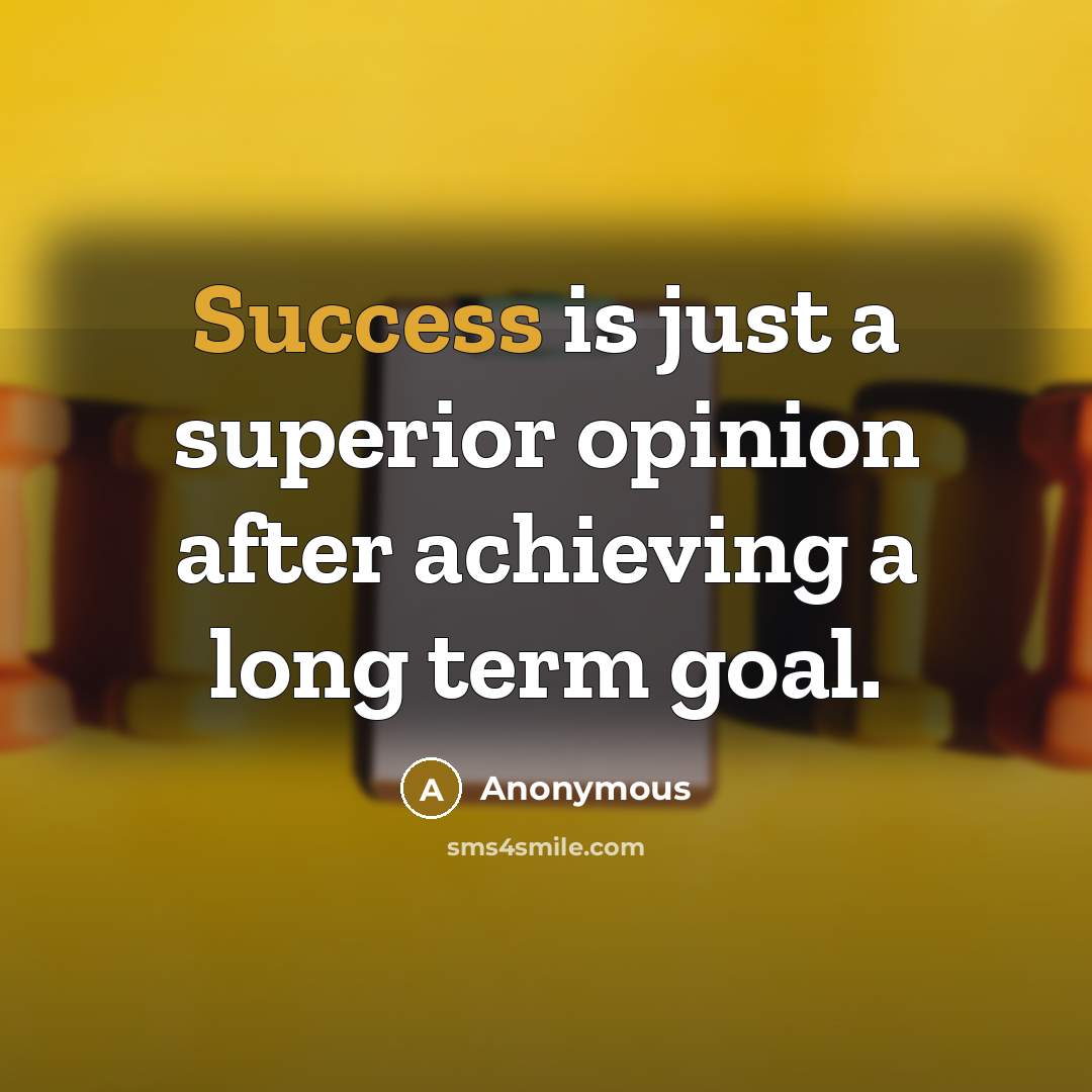 “Success is just a superior opinion after achieving a long term goal.” quote by Anonymous