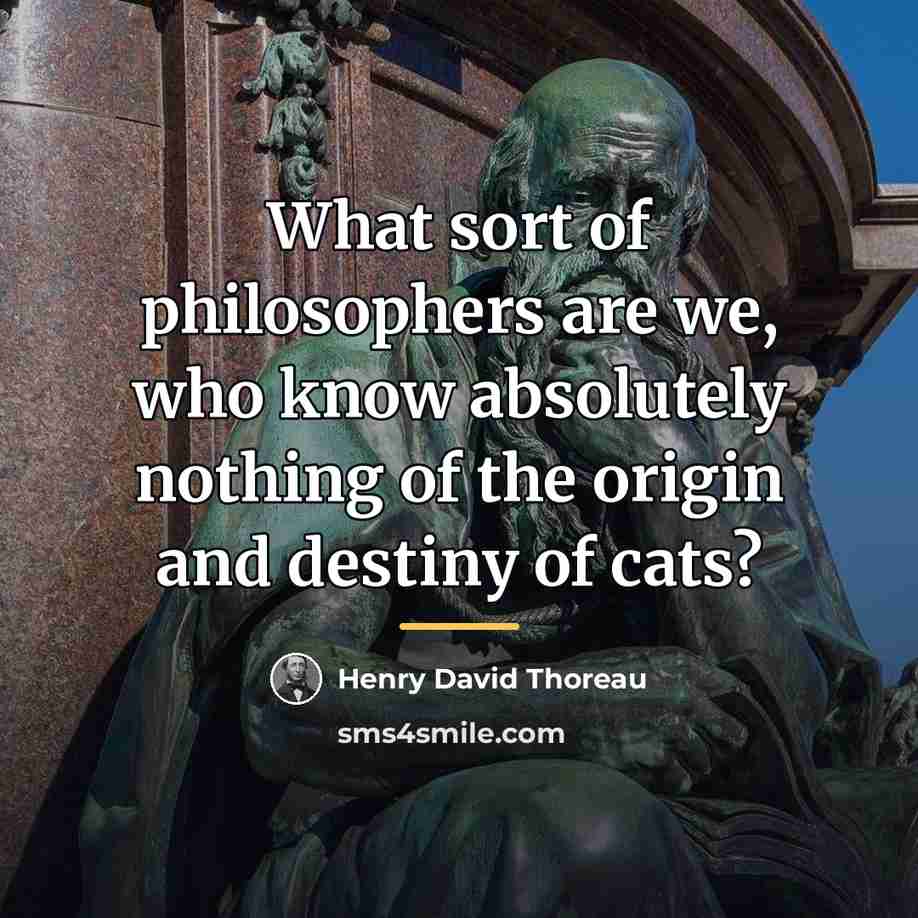 “What sort of philosophers are we, who know absolutely nothing…” quote by Henry David Thoreau