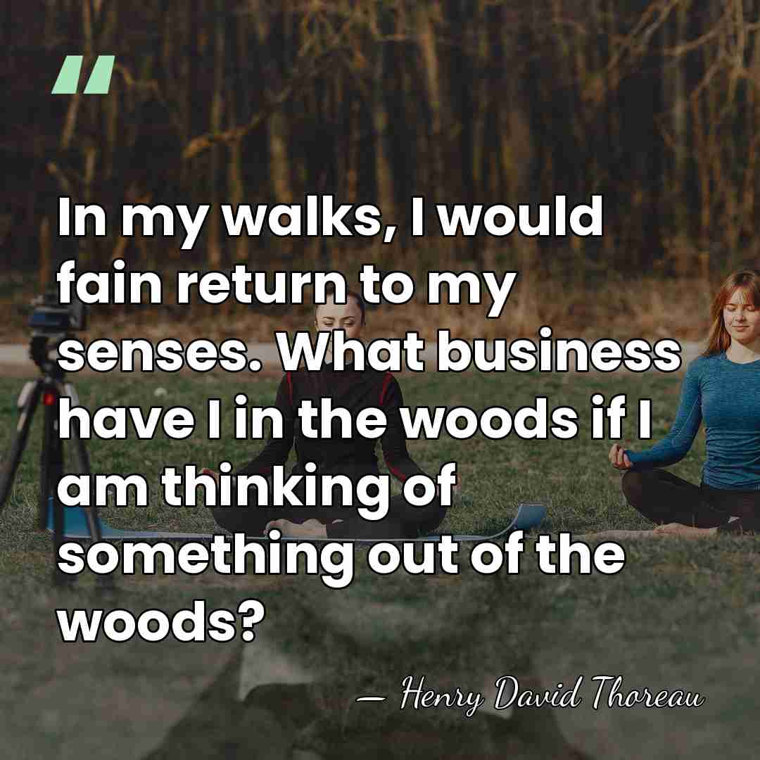 In my walks, I would fain return to my senses. What business&hellip; - Henry David Thoreau