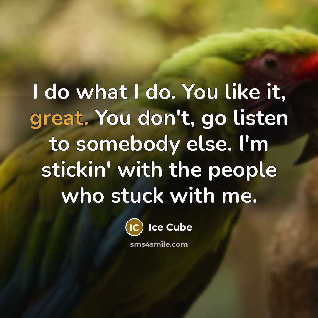 “I do what I do. You like it, great. You…” quote by Ice Cube
