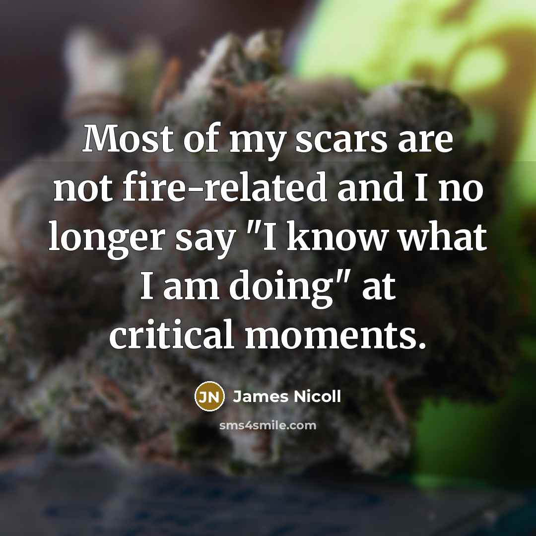 “Most of my scars are not fire-related and I no…” quote by James Nicoll
