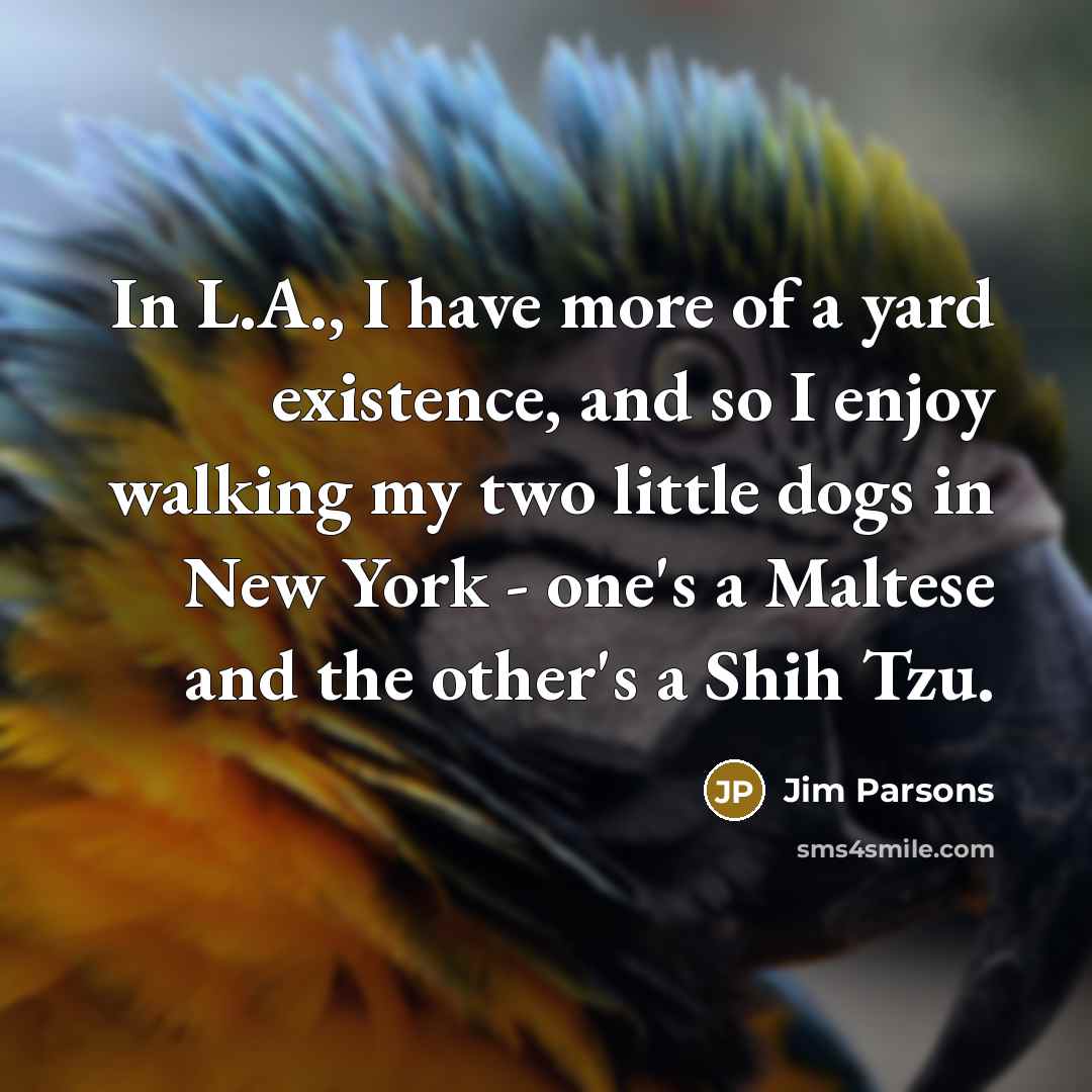 “In L.A., I have more of a yard existence, and so I enjoy walking my two little dogs in New York - one's a Maltese and the other's a Shih Tzu.” quote by Jim Parsons