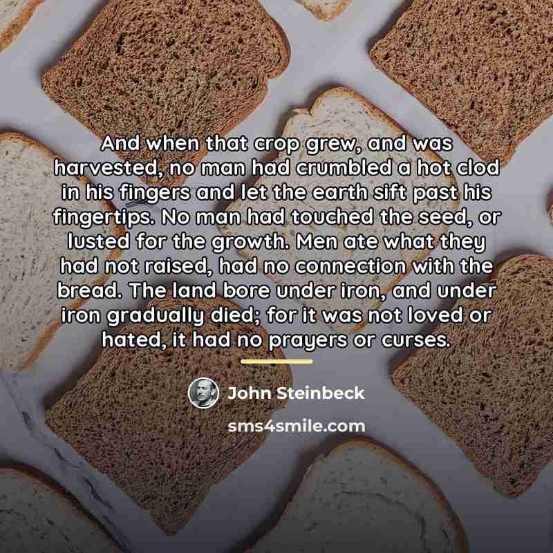 “And when that crop grew, and was harvested, no man…” quote by John Steinbeck
