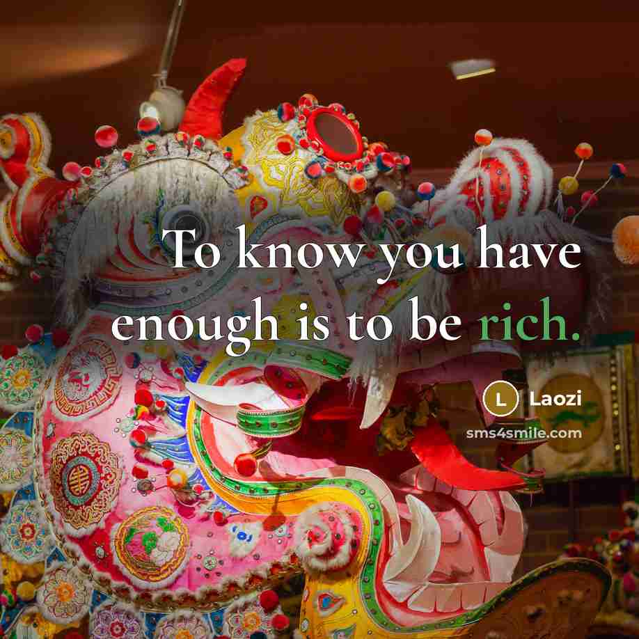 “To know you have enough is to be rich.…” quote by Laozi