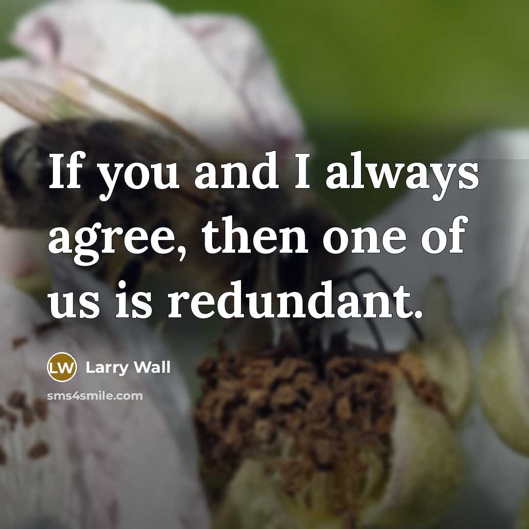 “If you and I always agree, then one of us…” quote by Larry Wall
