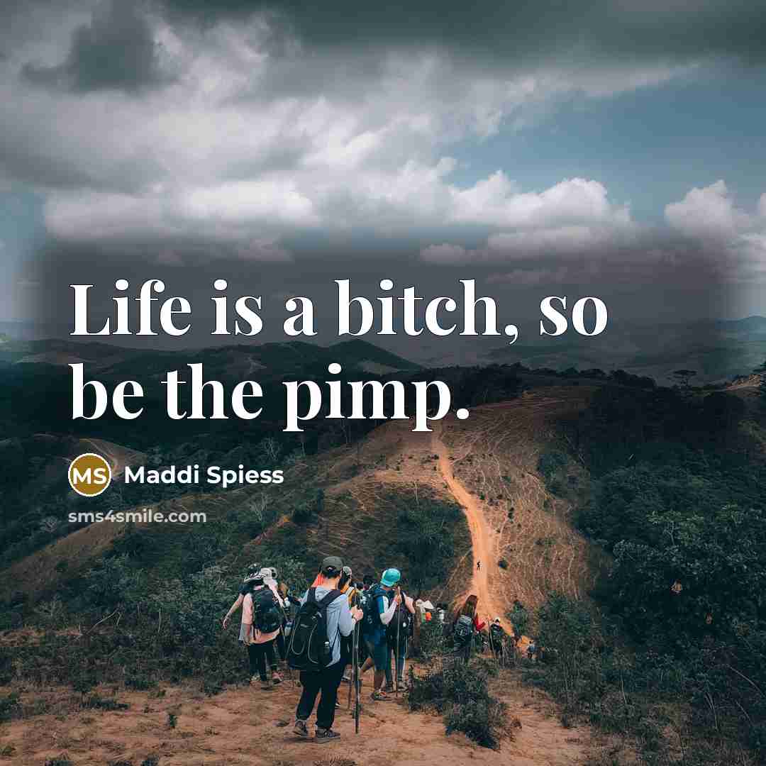 “Life is a bitch, so be the pimp.…” quote by Maddi Spiess