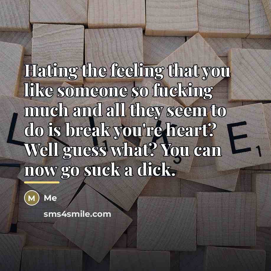 “Hating the feeling that you like someone so fucking much and all they seem to do is break you're heart? Well guess what? You can now go suck a dick.” quote by ME