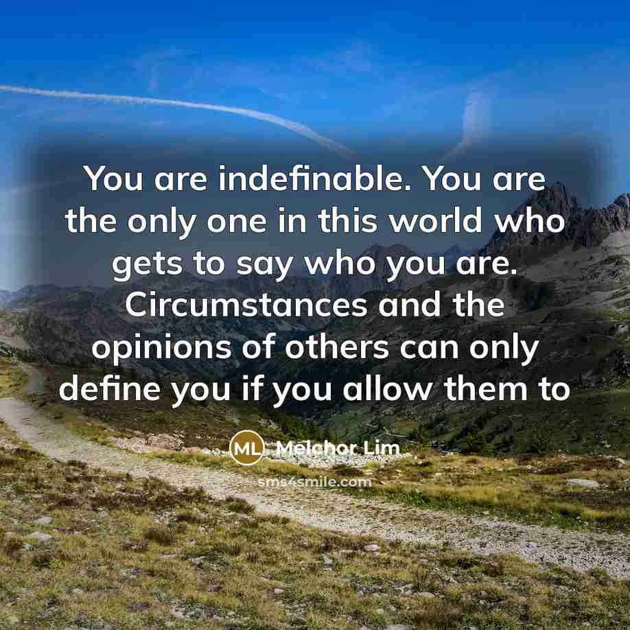 “You are indefinable. You are the only one in this world who gets to say who you are. Circumstances and the opinions of others can only define you if you allow them to” quote by Melchor Lim
