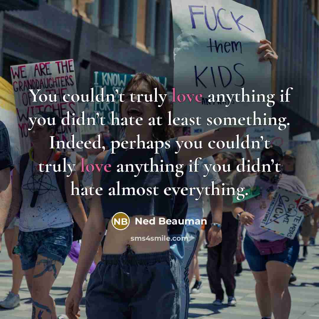“You couldn’t truly love anything if you didn’t hate at…” quote by Ned Beauman
