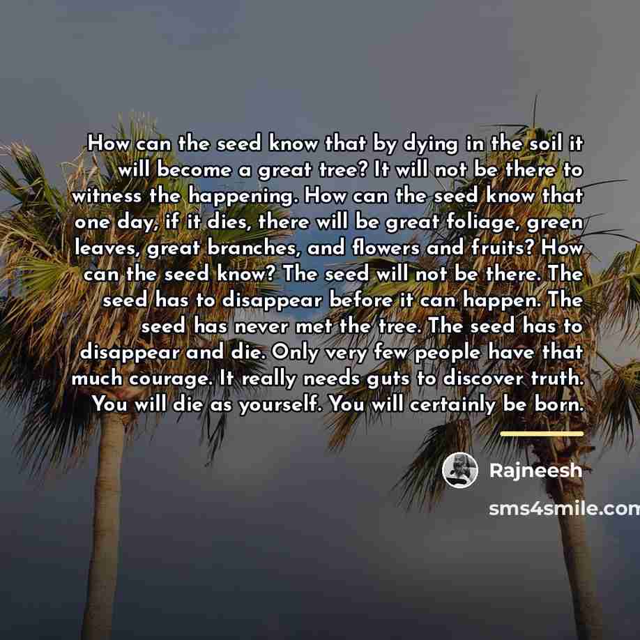 “How can the seed know that by dying in the…” quote by Rajneesh