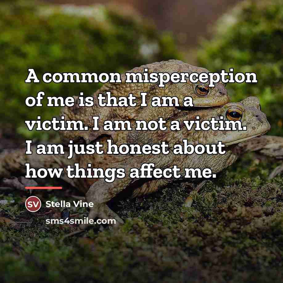 “A common misperception of me is that I am a…” quote by Stella Vine
