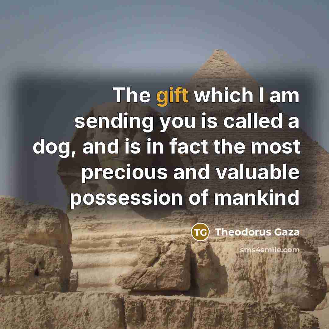 “The gift which I am sending you is called a dog, and is in fact the most precious and valuable possession of mankind” quote by Theodorus Gaza