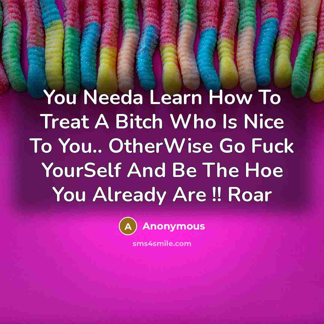 “You Needa Learn How To Treat A Bitch Who Is Nice To You.. OtherWise Go Fuck YourSelf And Be The Hoe You Already Are !! Roar” quote by Anonymous
