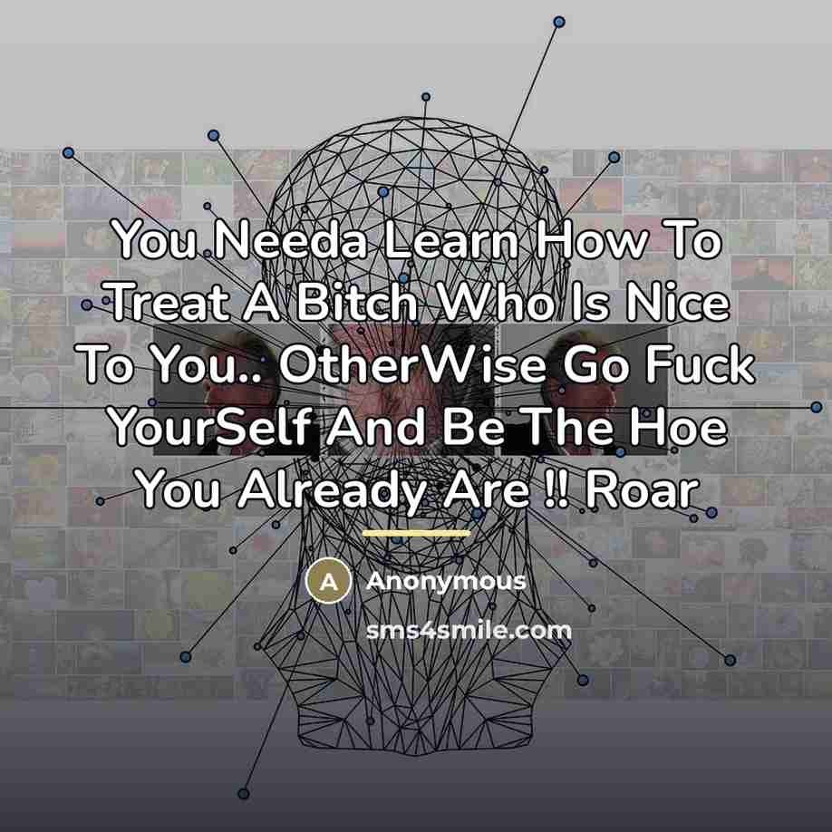 “You Needa Learn How To Treat A Bitch Who Is…” quote by Anonymous