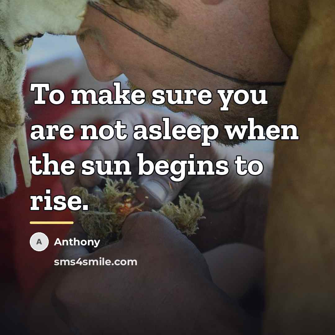 “To make sure you are not asleep when the sun…” quote by Anthony
