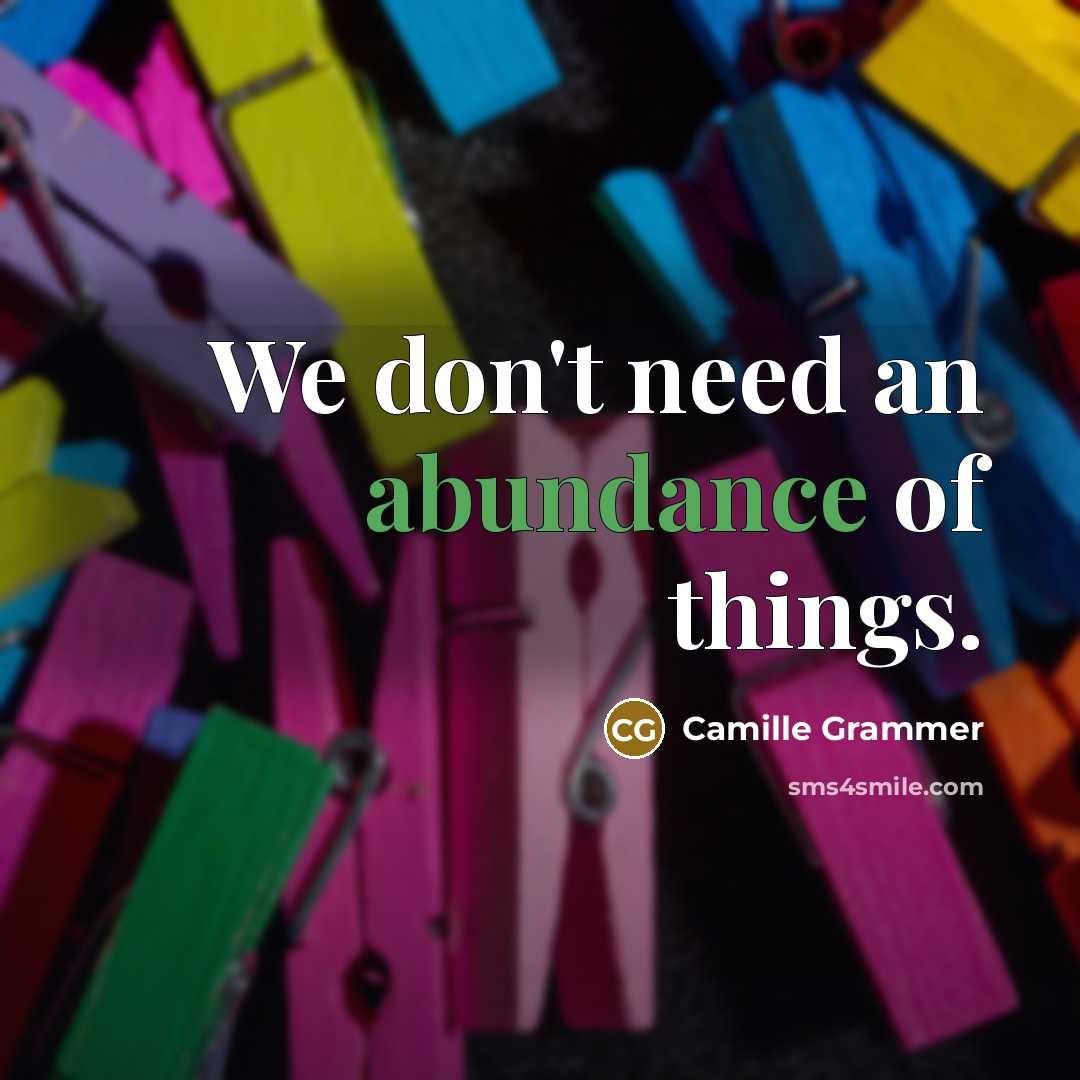“We don't need an abundance of things.…” quote by Camille Grammer