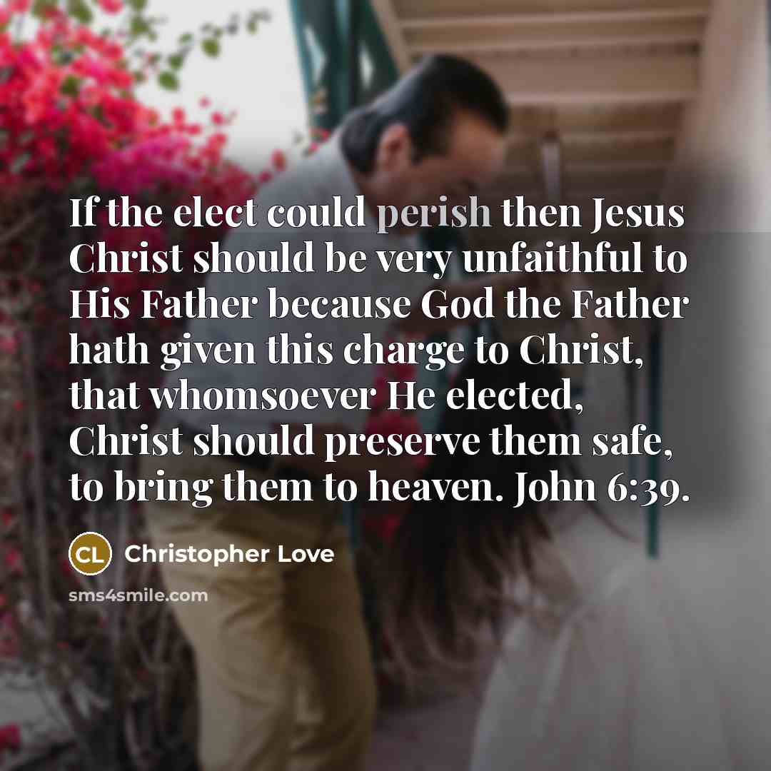 “If the elect could perish then Jesus Christ should be…” quote by Christopher Love