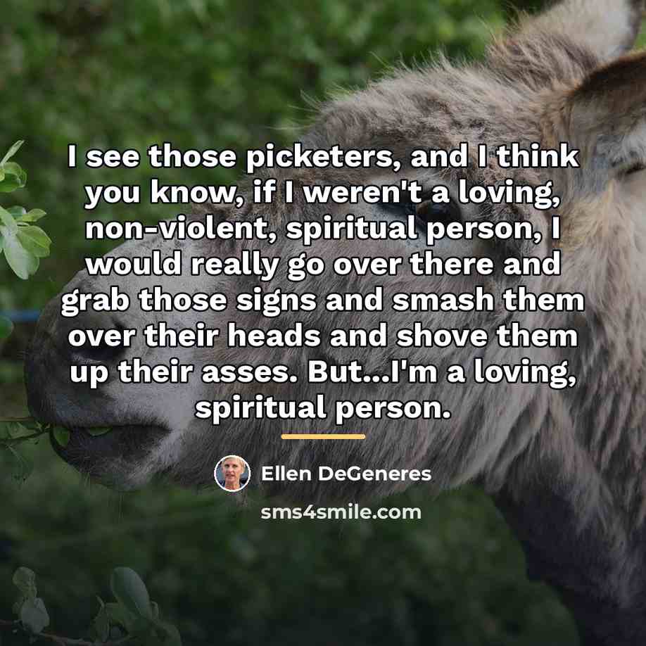 “I see those picketers, and I think you know, if…” quote by Ellen DeGeneres