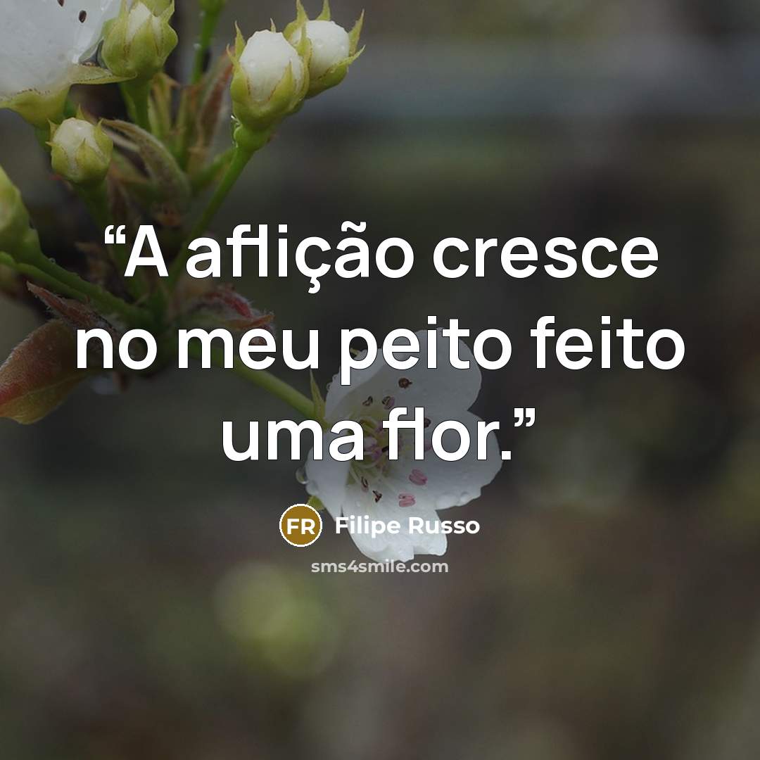 “A aflição cresce no meu peito feito uma flor.” quote by Filipe Russo