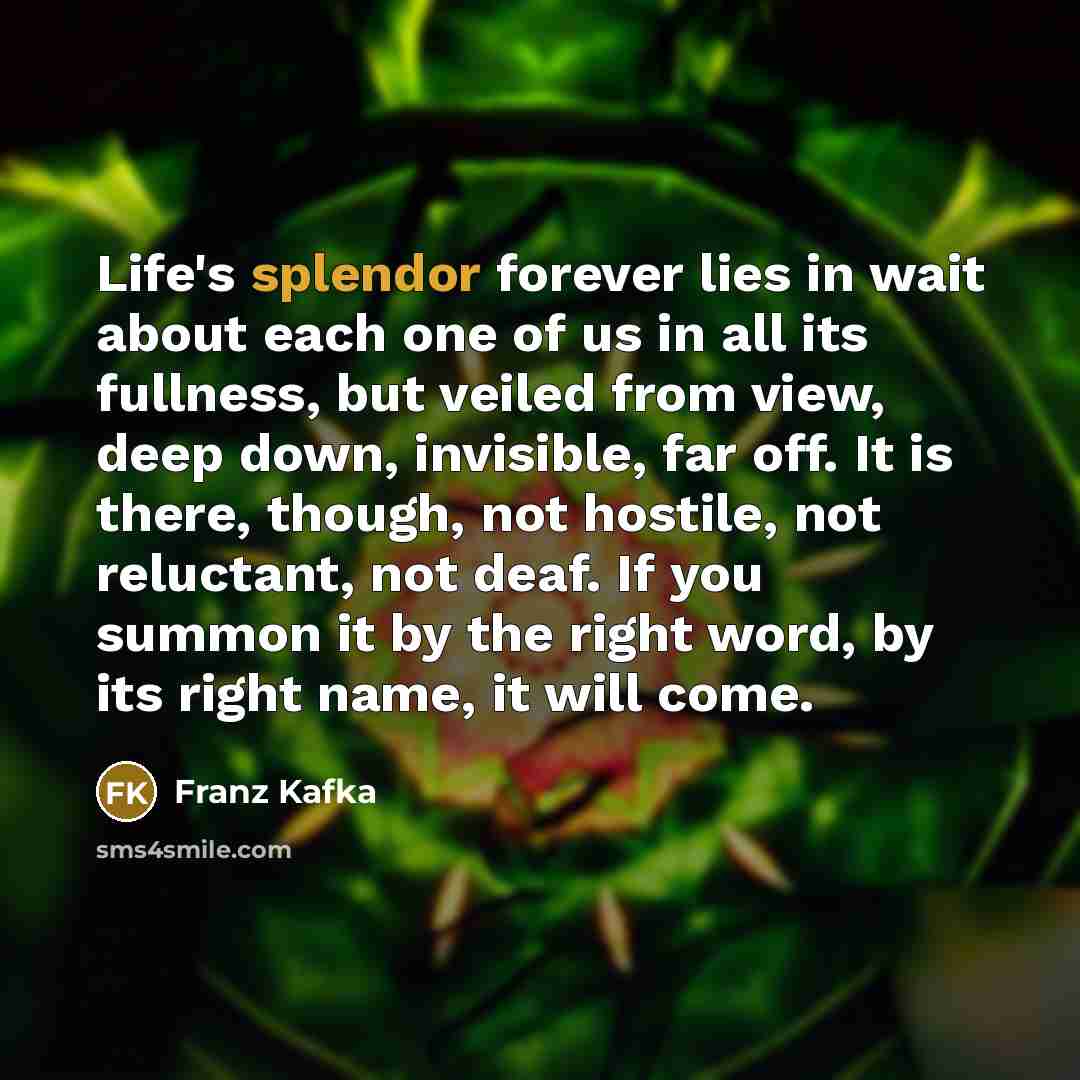 “Life's splendor forever lies in wait about each one of…” quote by Franz Kafka